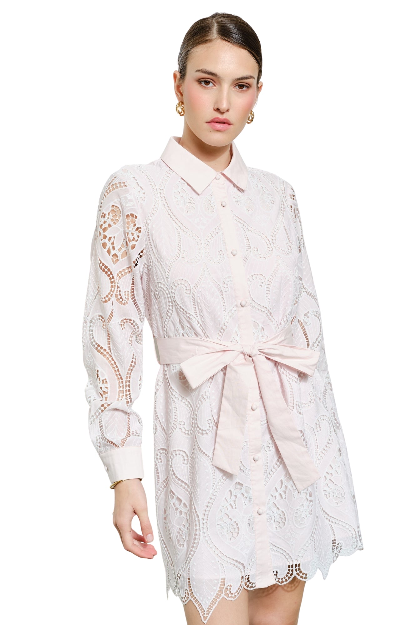 LACE EMBROIDERED MINI DRESS - PALE PINK